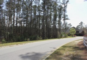 5 Gray Heron Pointe | Blythewood SC 29016 | LongCreek Plantation