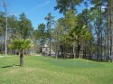 117 Stargazer Court, Leesville SC 29070 | Lot 167 | Putting Green