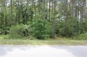 117 Stargazer Court, Leesville SC 29070 | Lot 167 | Lot Frontage