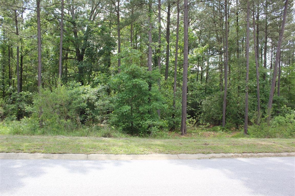 117 Stargazer Court, Leesville SC 29070 | Lot 167 | Lot Frontage