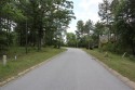 117 Stargazer Court, Leesville SC 29070 | Lot 167 | Looking South