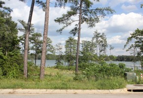 321 Waters Edge Ct | Lexington SC 29072 | Lot 27 | Turner’s Pointe 321 Waters Edge Ct | Lexington SC 29072 | Lot 27 | Turner’s Pointe